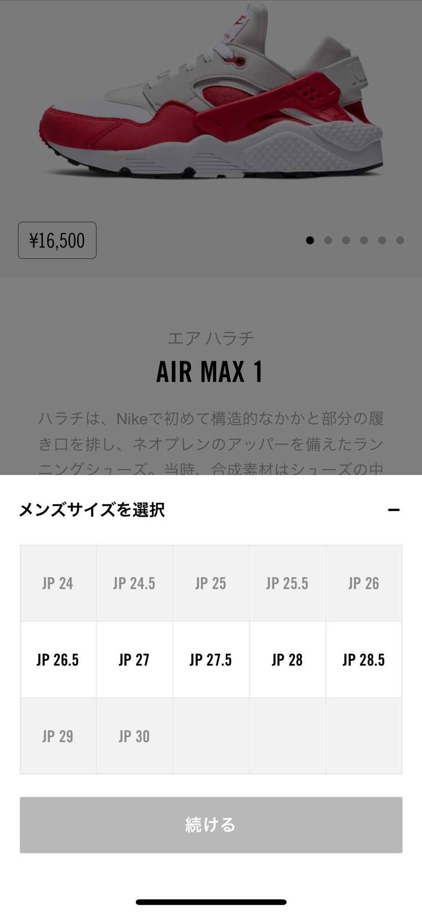 ハラチも🐿ですね