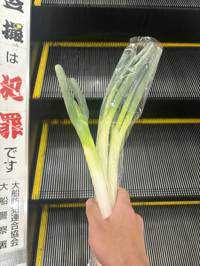 いせ
