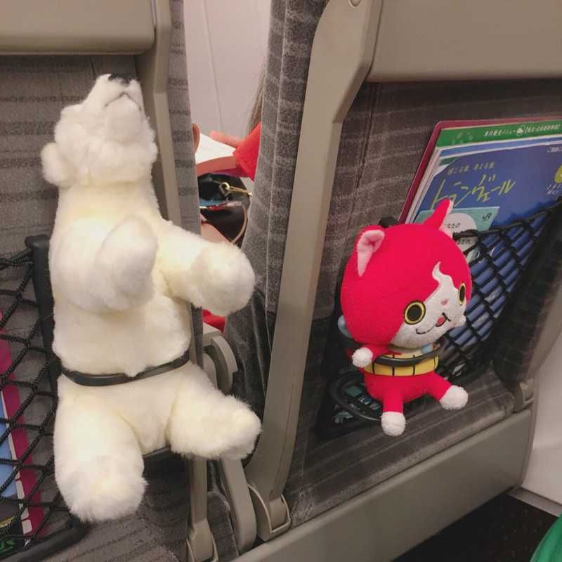 ホシカ<<<<<(出品者)