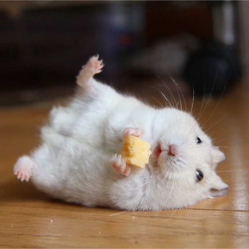 まさひろ