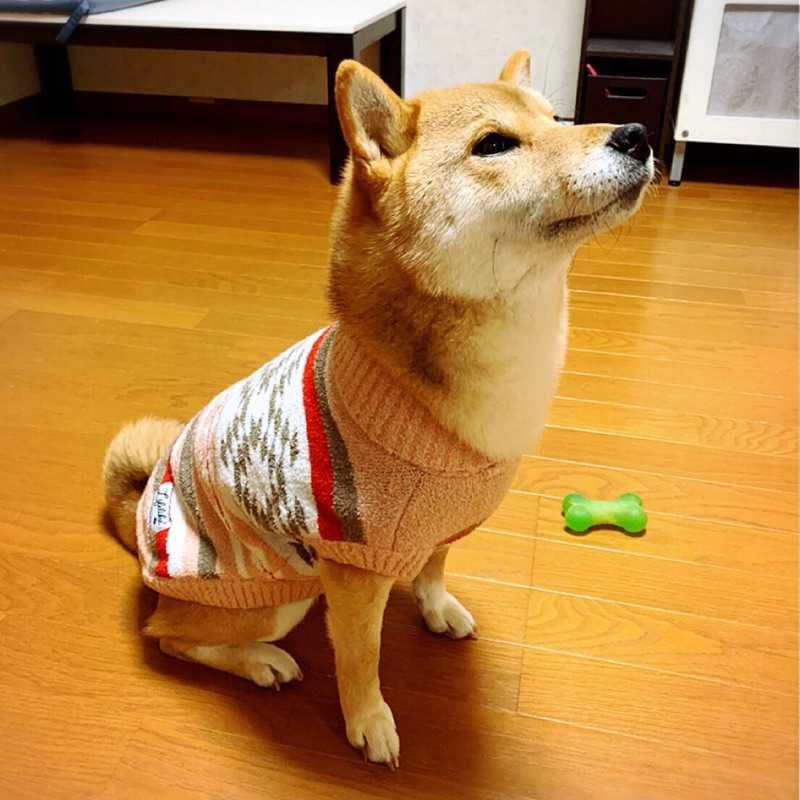 yusuke88