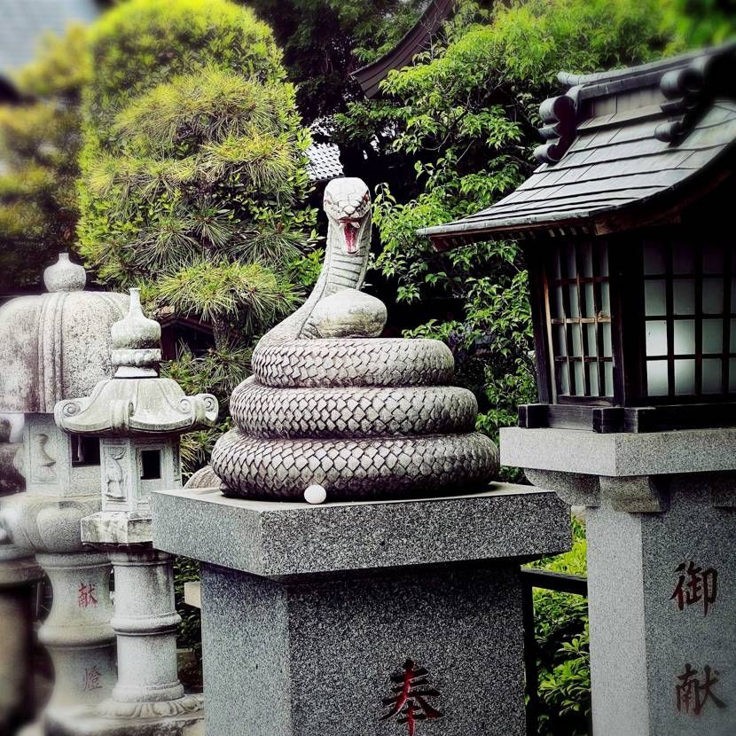 今日スニ

シン白蛇

白蛇履いて白蛇信仰してきまし