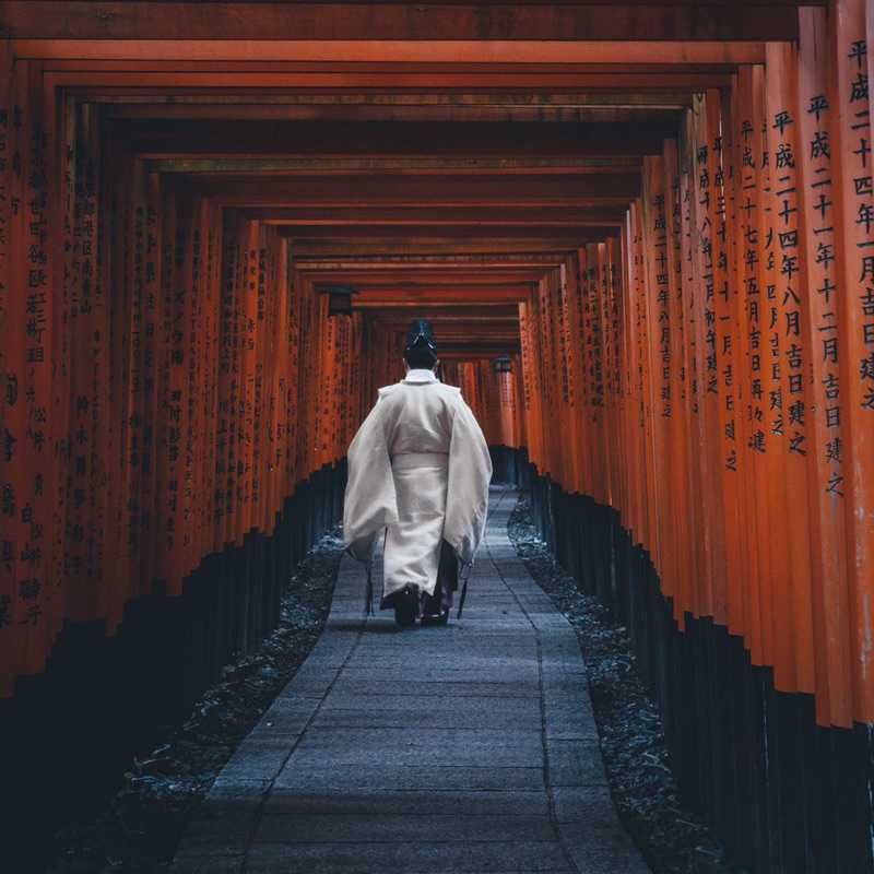 なおき