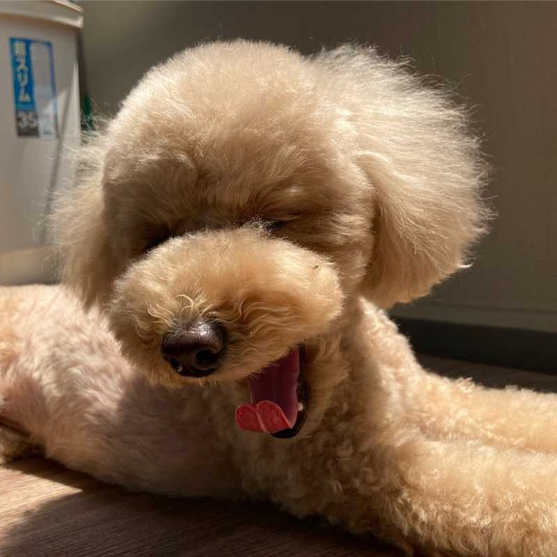 よ