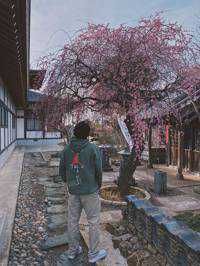 NoName