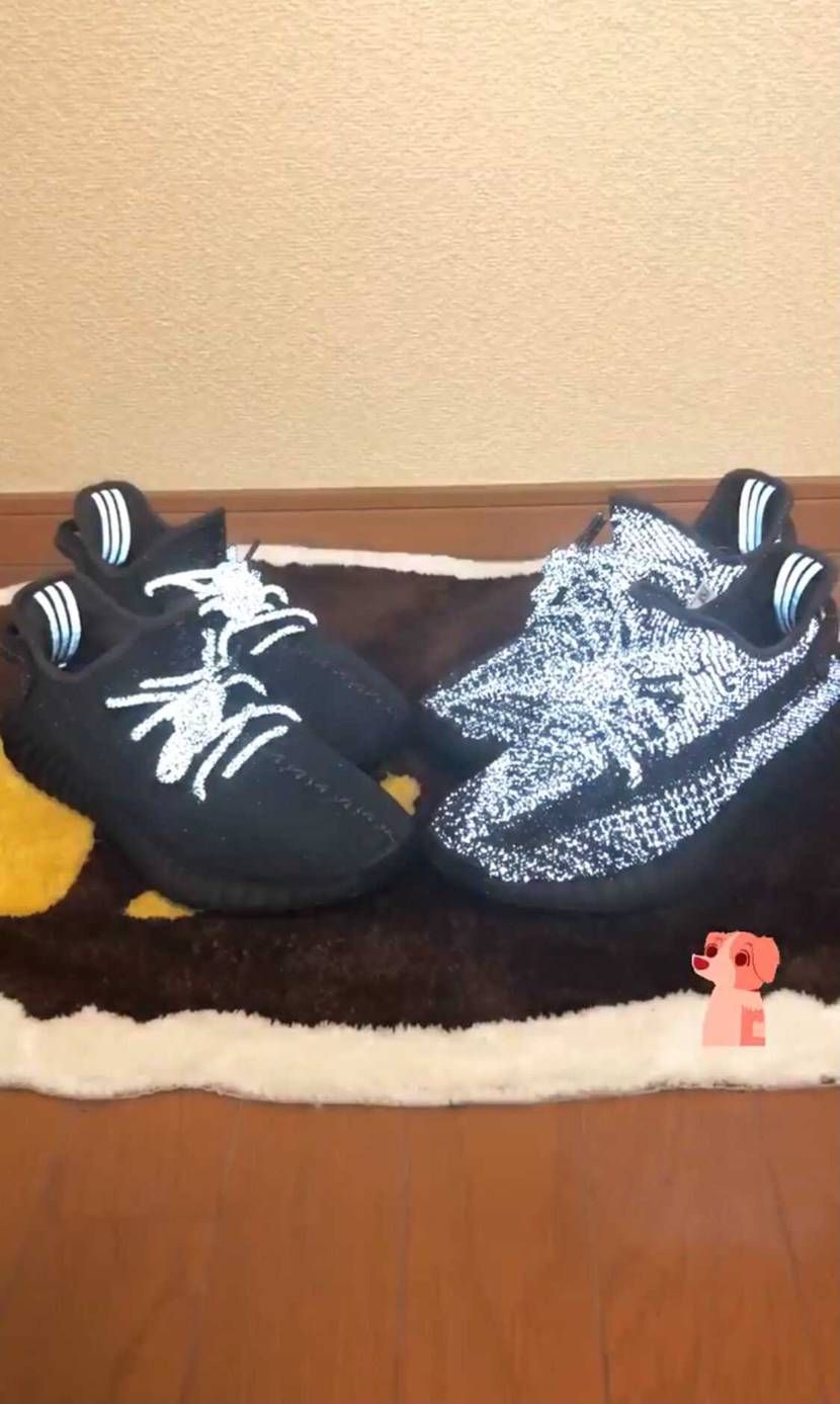 ✨