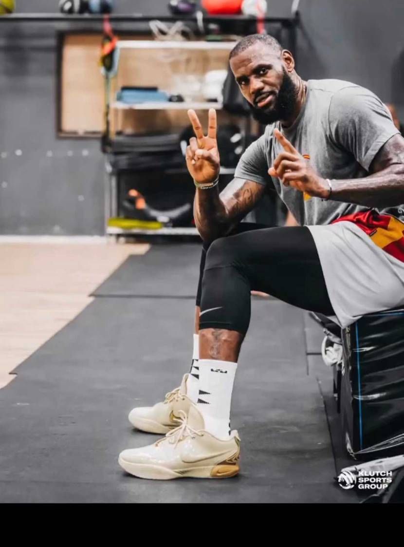 LeBron21なのかわからんけど、形といいエナメルなのかレザーっぽい具合とか結