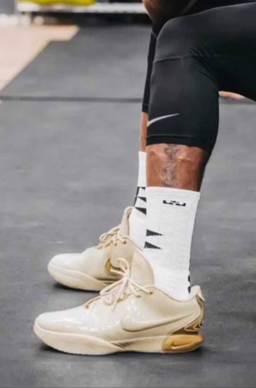 LeBron21なのかわからんけど、形といいエナメルなのかレ