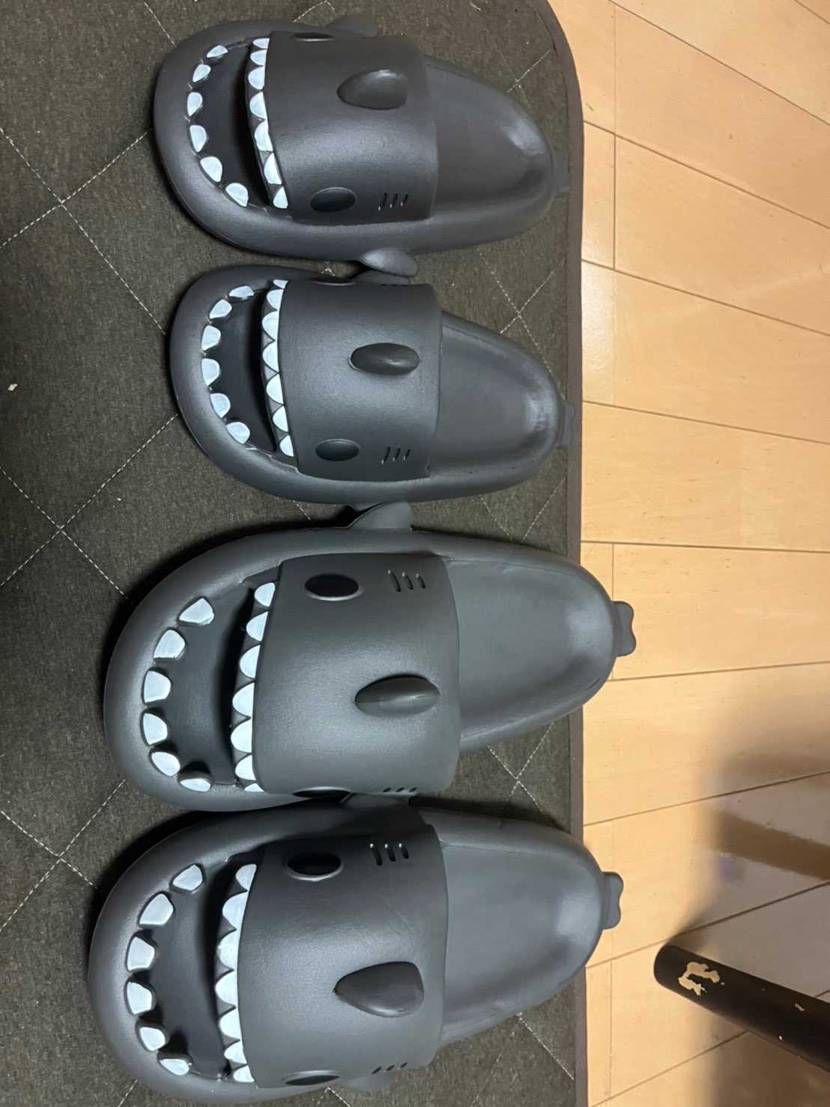 🐯で盛り上がってる中🦈が届いた