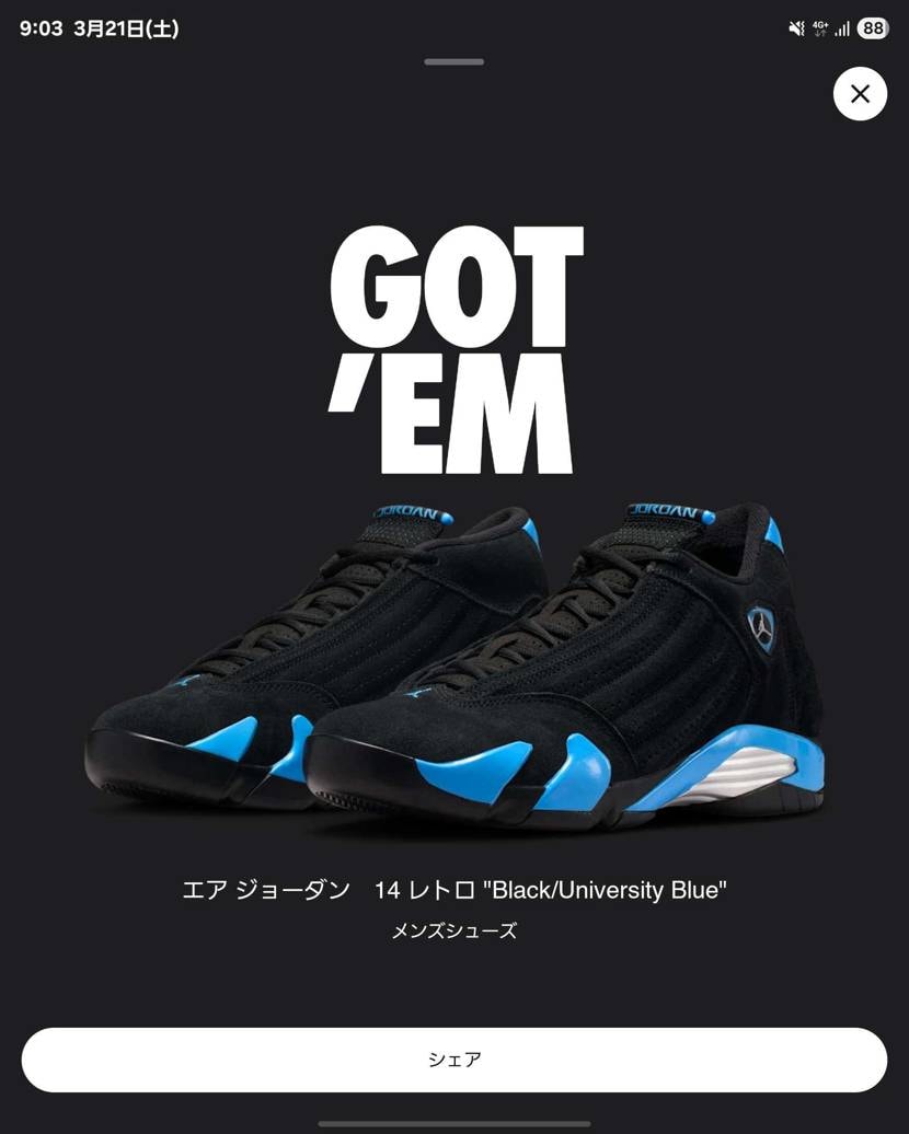 TOP3は無理でした。
僕のひねくれた性格上、ニッチなナンバリングのAJが好き