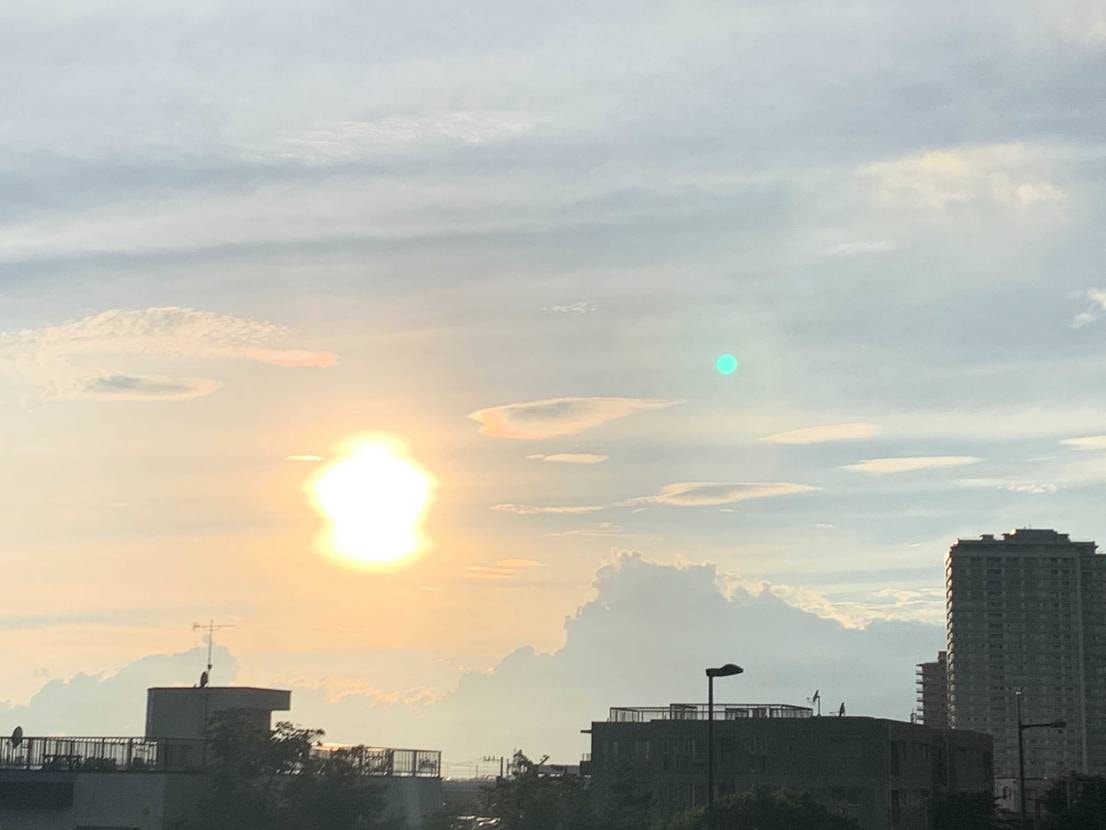 
みんな、スニーカーの季節来たで