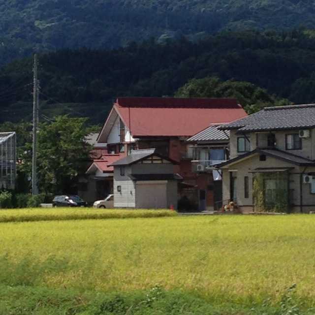 小出真輝(出品者)