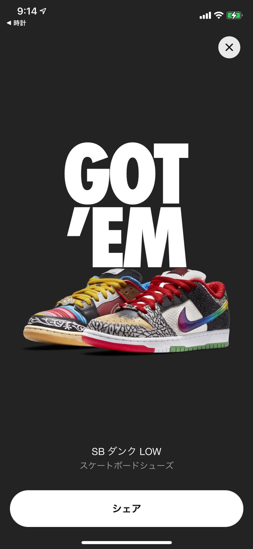 SB DUNKってこの世に存在するんですね、