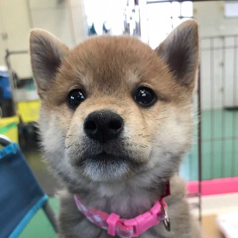 りょう