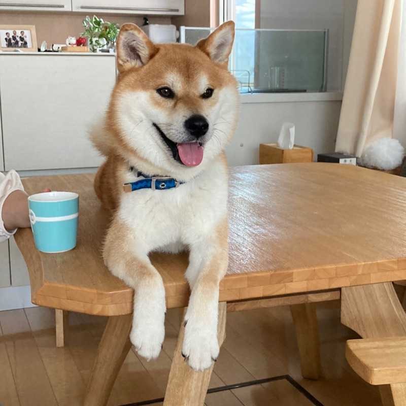 ゆうた