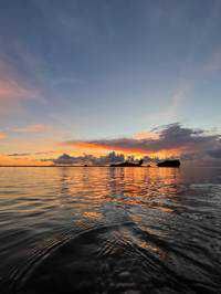 ユーザーアイコン