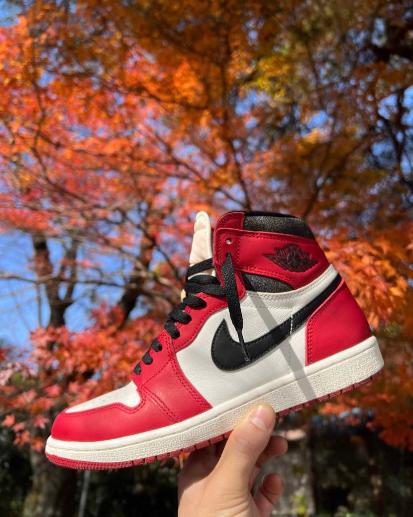 紅葉🍁