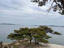 zzz_zoe0293