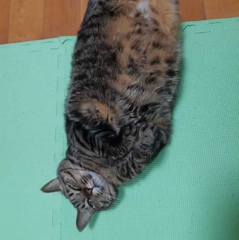 あ