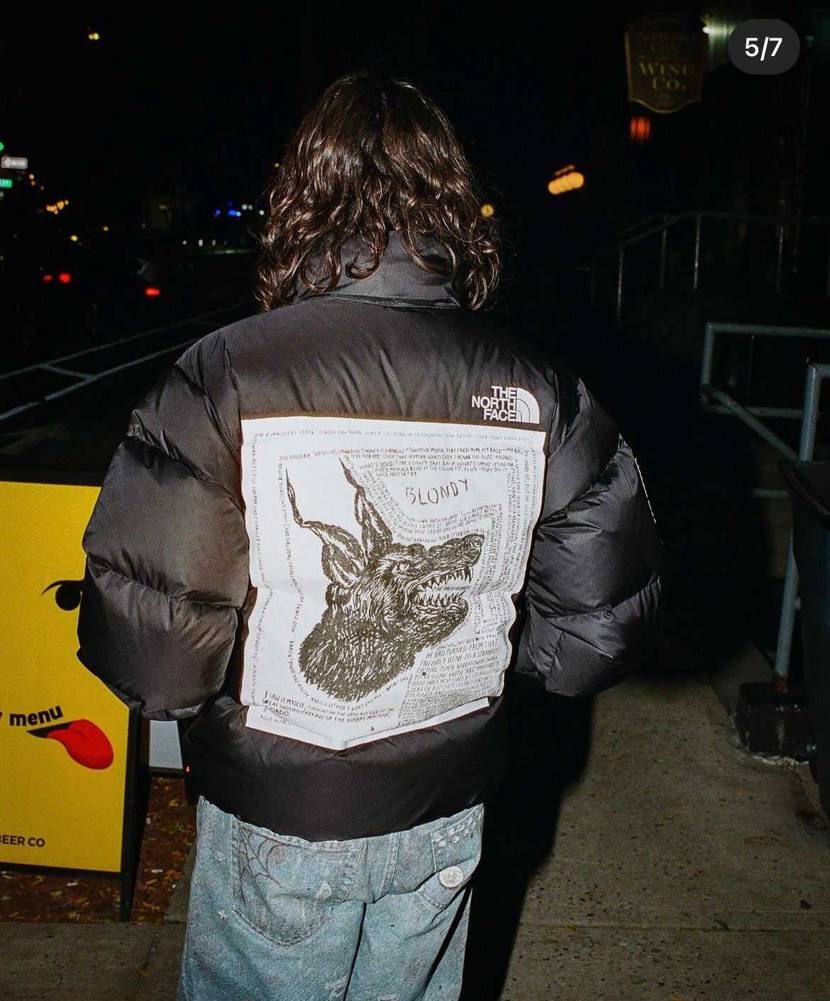 supreme the north face🌏