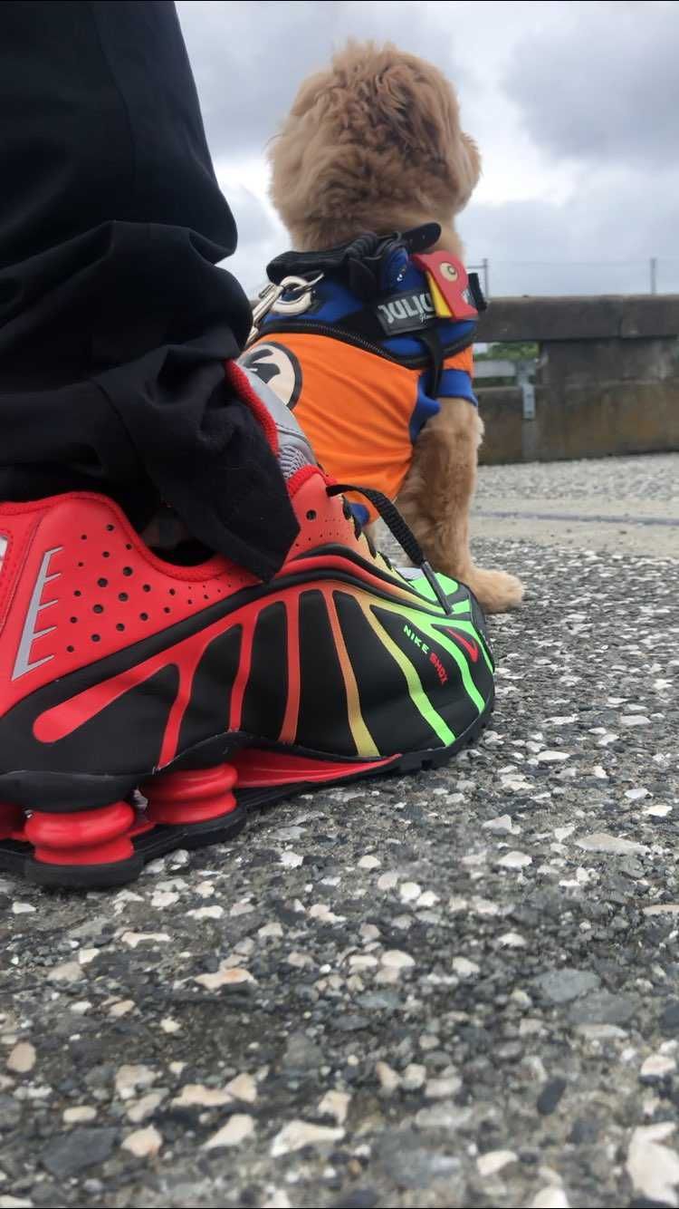 先週購入したSHOX R4で愛犬と散歩に行きました😊
履き心地めっちゃ良かった