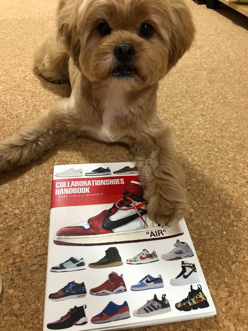 久々に本を買いました！
読み応えあって何度も見返してしまう…。
そんな一冊で