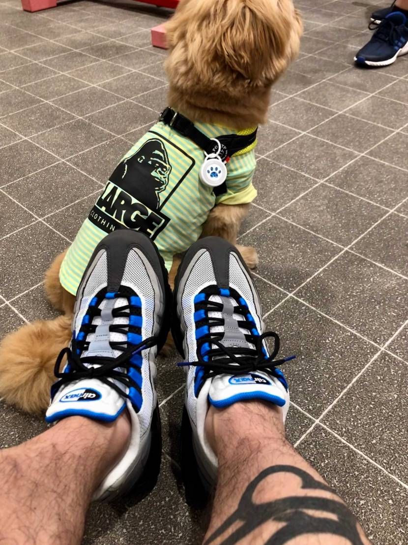 今日はMAX95🤩
シューレースはkixsixにチェンジしてます🙌