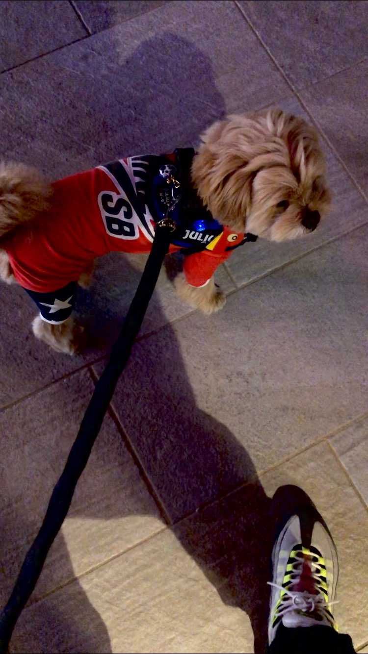 着なくなった僕のSB Teeをリメイクした服を着せ散歩🐶🐾＆チラッとMAX95🙌