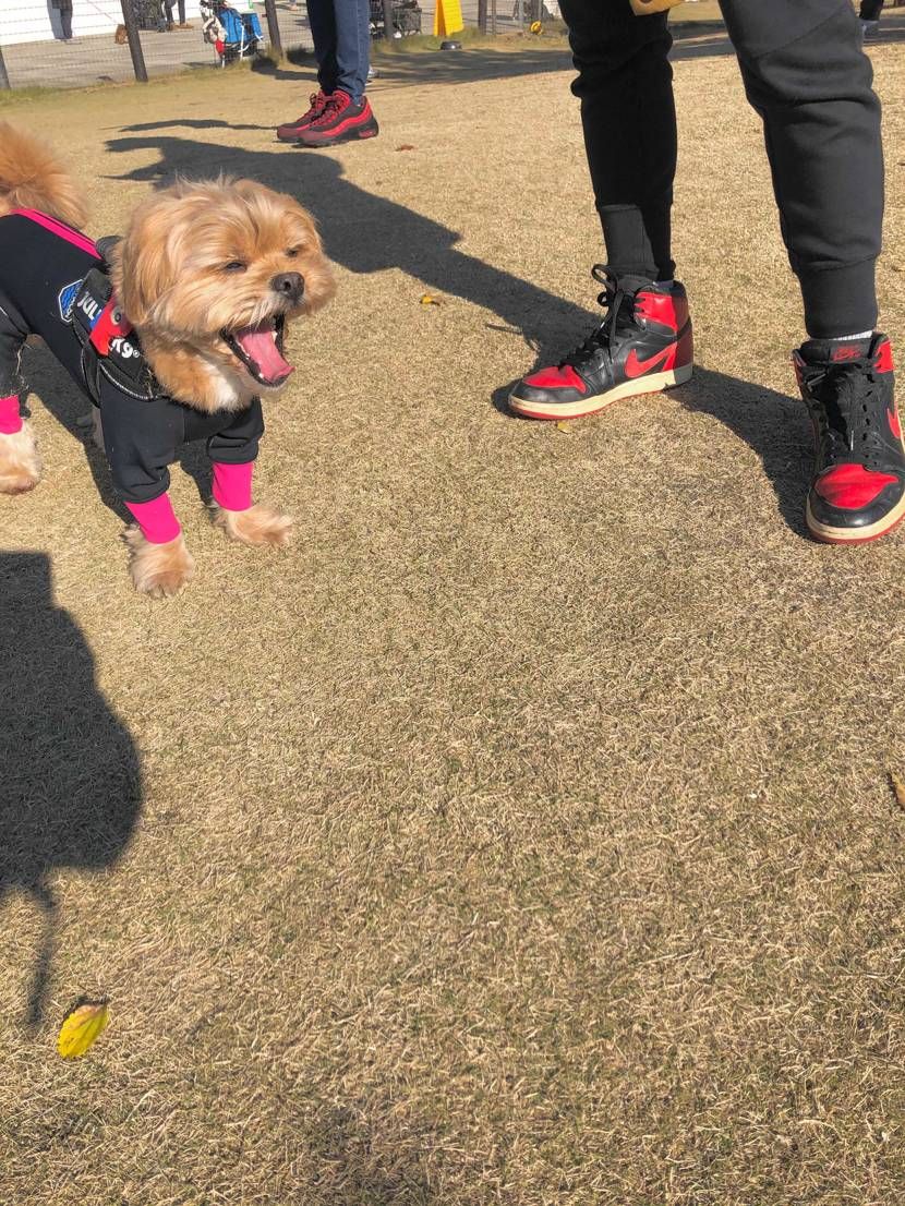 平和🤗