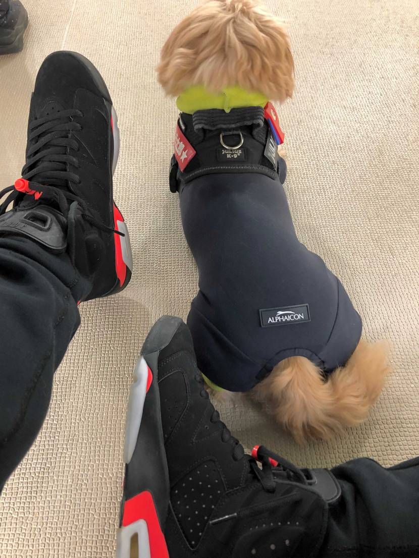 愛犬とAJ6＆オーバルシューレース最高です🙌