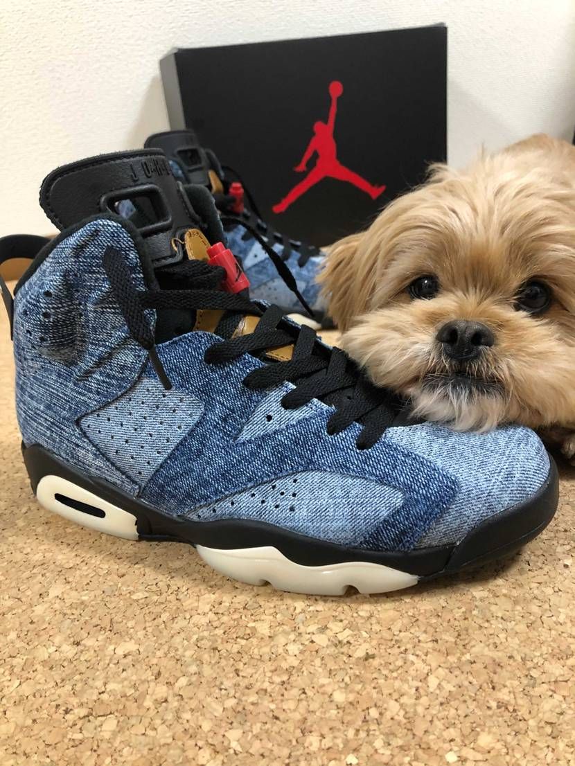 友人から定価で譲ってもらいました🥳
ありがとう🙌