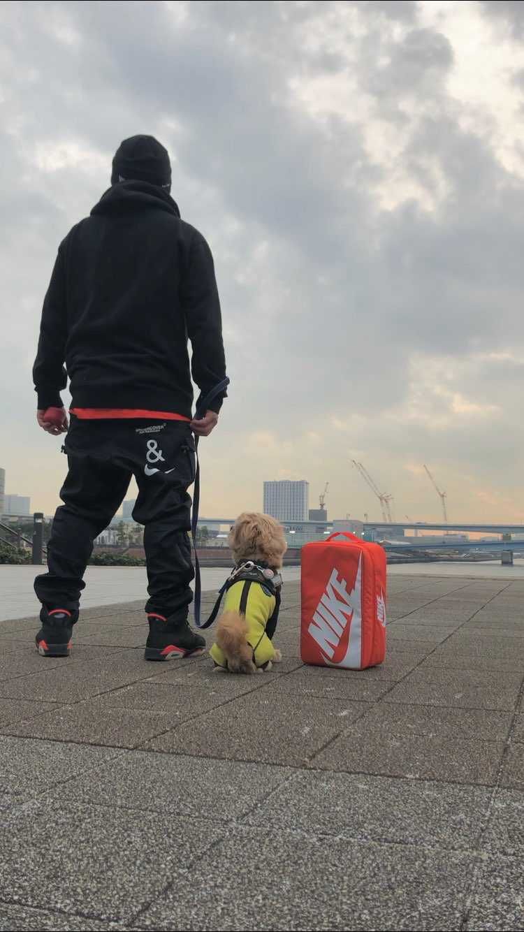 愛犬の私物入れ用にシューケースGet🥳