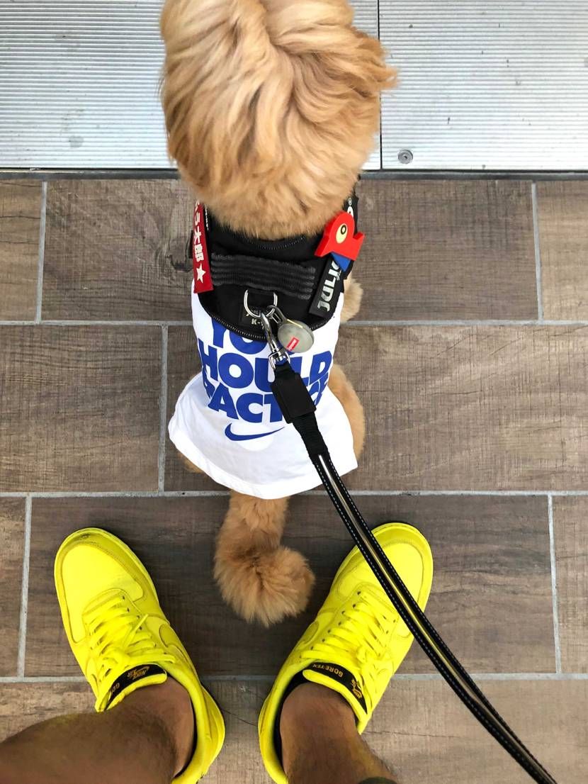 最近ヘビロテ中のAF1GTX😆