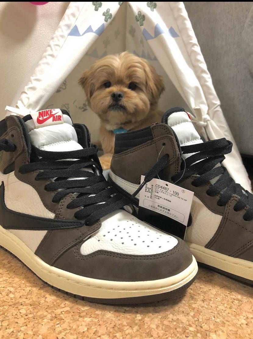 今年の5月で奇跡のGOT"EMから2年。。
未だ履けず。