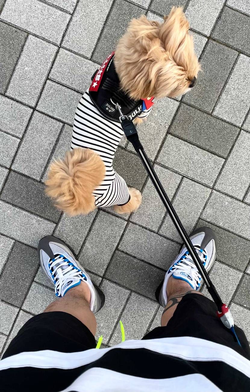 あんまり人気ないカラーの95MAXですが、
オジさん世代にはたまらんカラー🙋‍