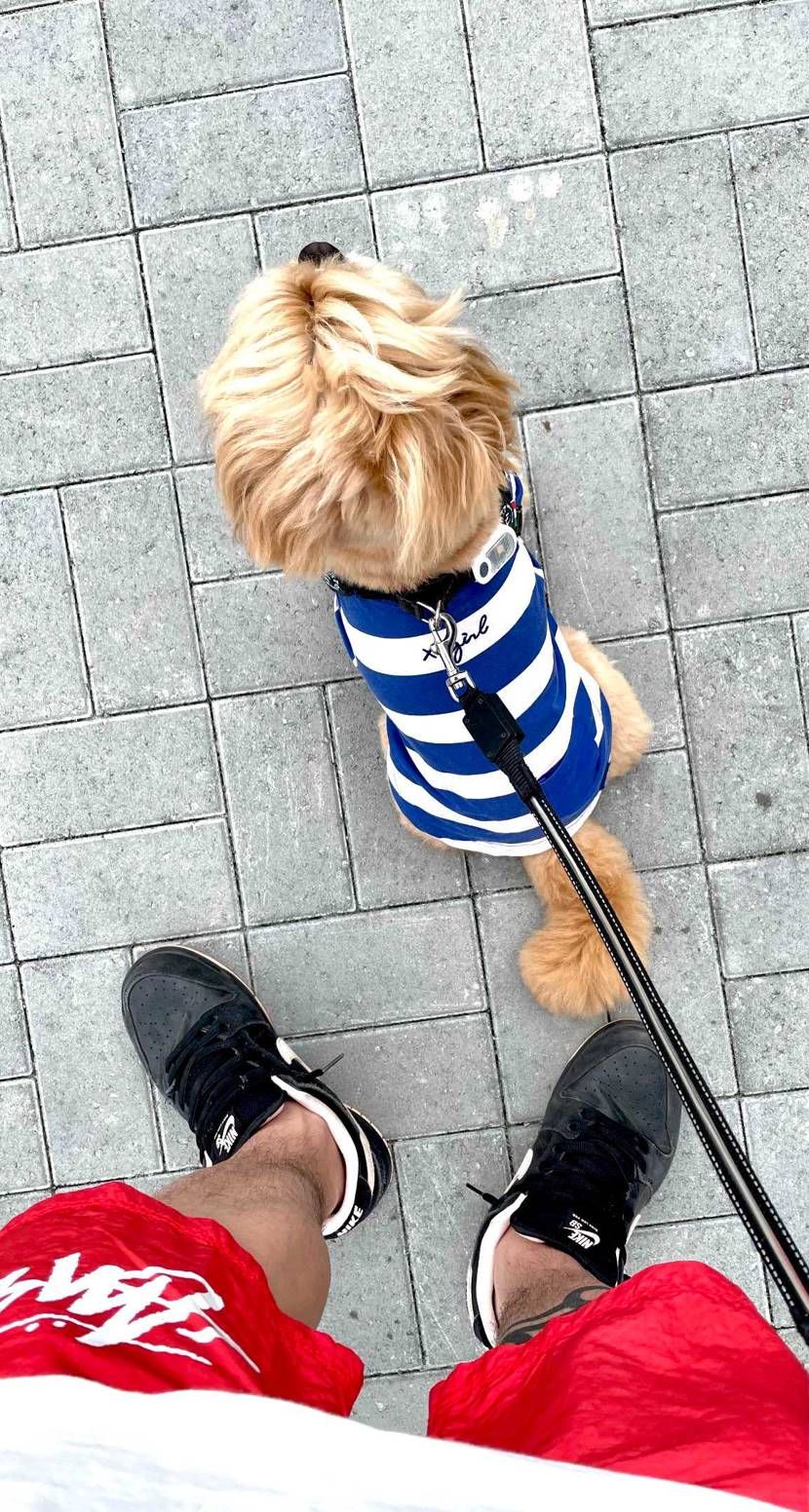 気持ちいい朝の散歩😊