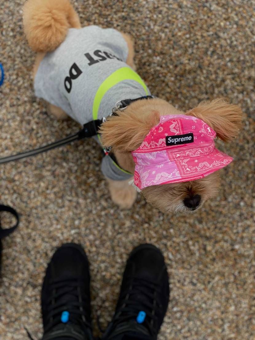 朝散歩✔︎暑い😵💦