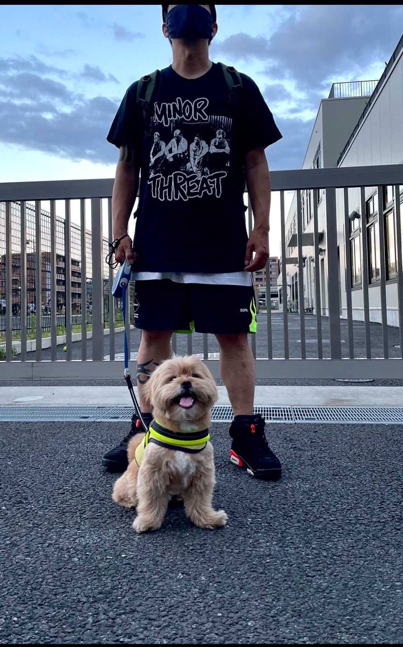 暑いけどAJ6🙋‍♂️