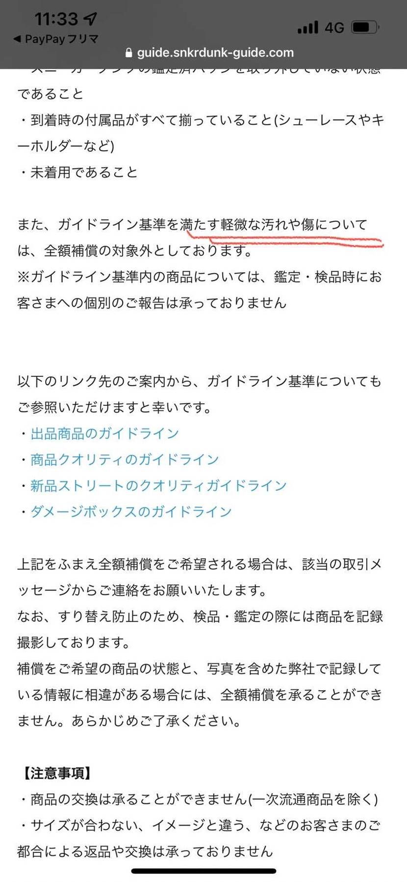 スニダン購入品。シューレース先端溶けてちぎれているのにも関わらず。当社基準内との