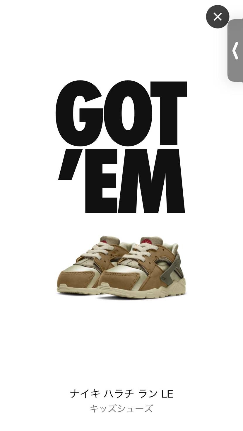 やっと拾えた🐿