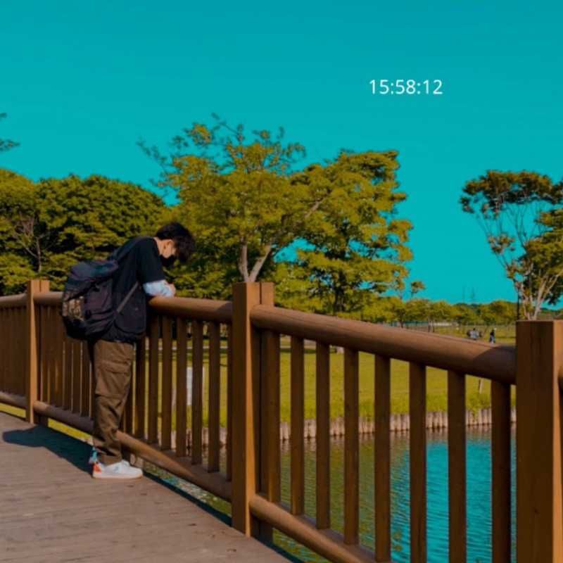 京平