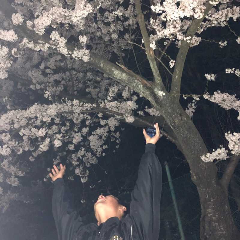 こまち