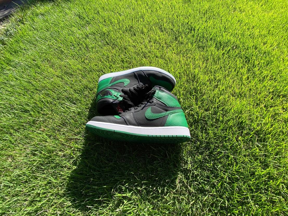 👒👗🐸🐍🍃🍀🌱🍏📗💚