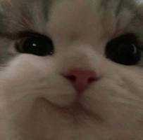 yyyyyy