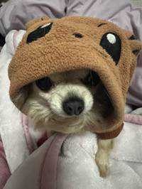 たろう