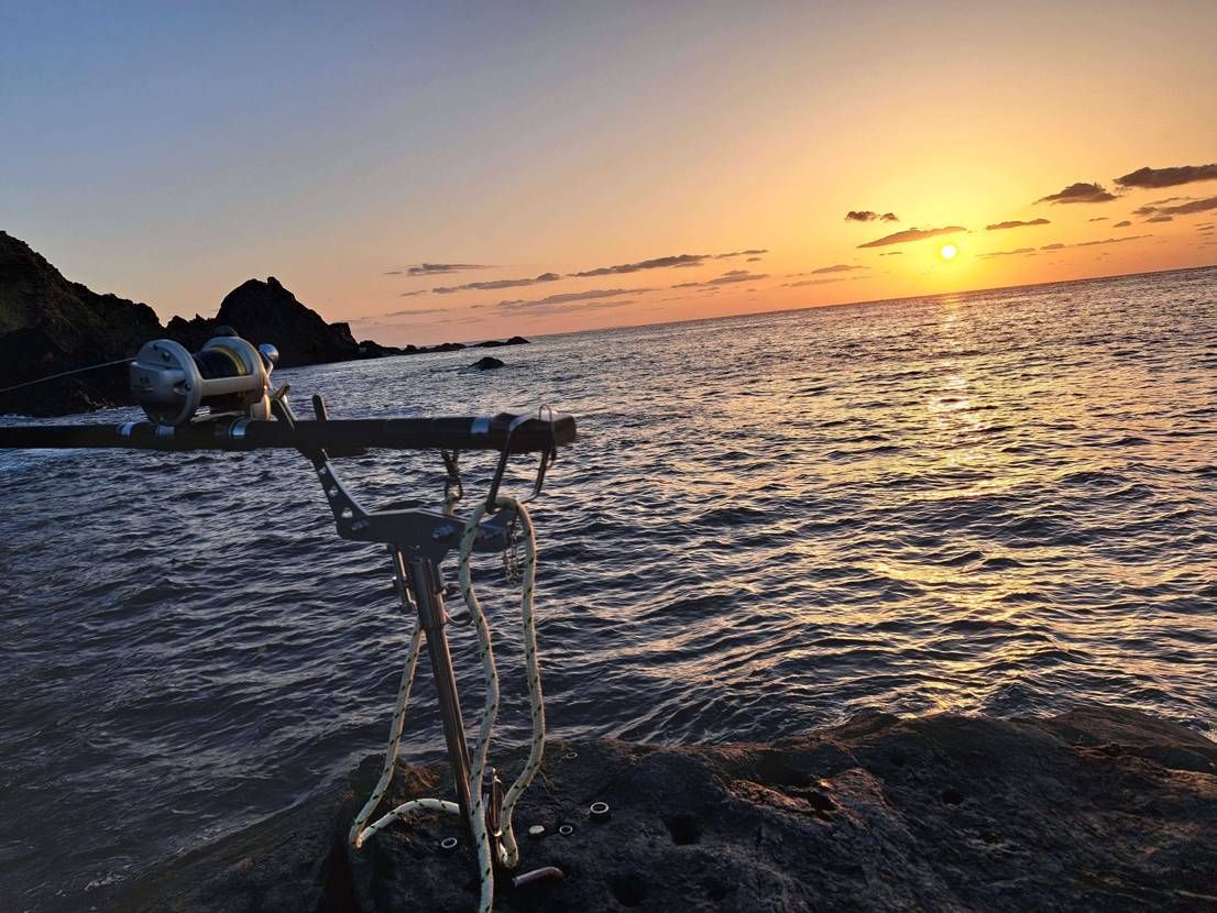 今日も本命は釣れず‥
ウツボのオンパレード🎵笑

こちらの「セメント」は