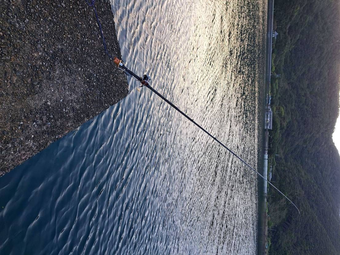 さー
トラヴィス🐯
当てちゃいますかー