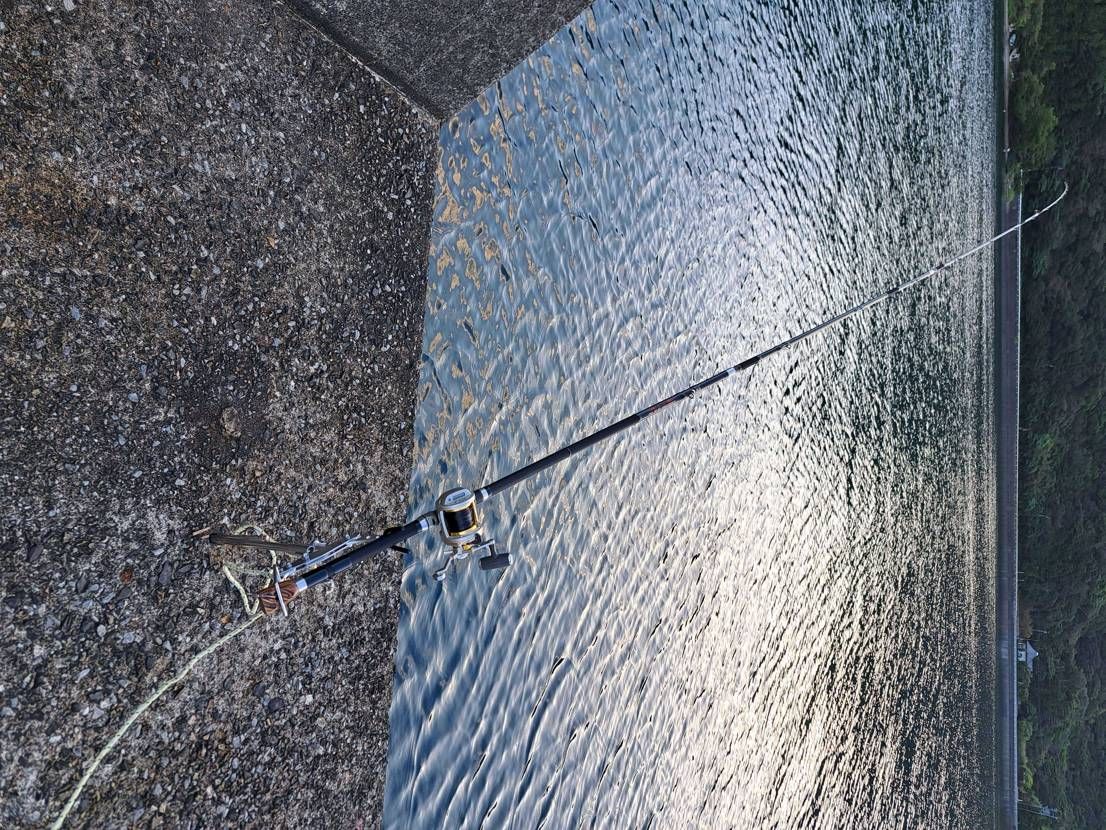 さー
トラヴィス🐯
当てちゃいますかー