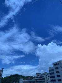 嘉誠