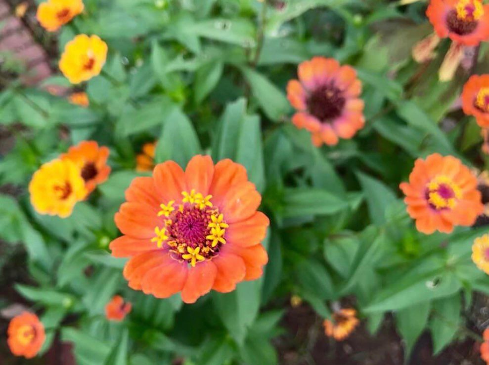 blackと蛍光orangeはGiantsカラーで言うまでも